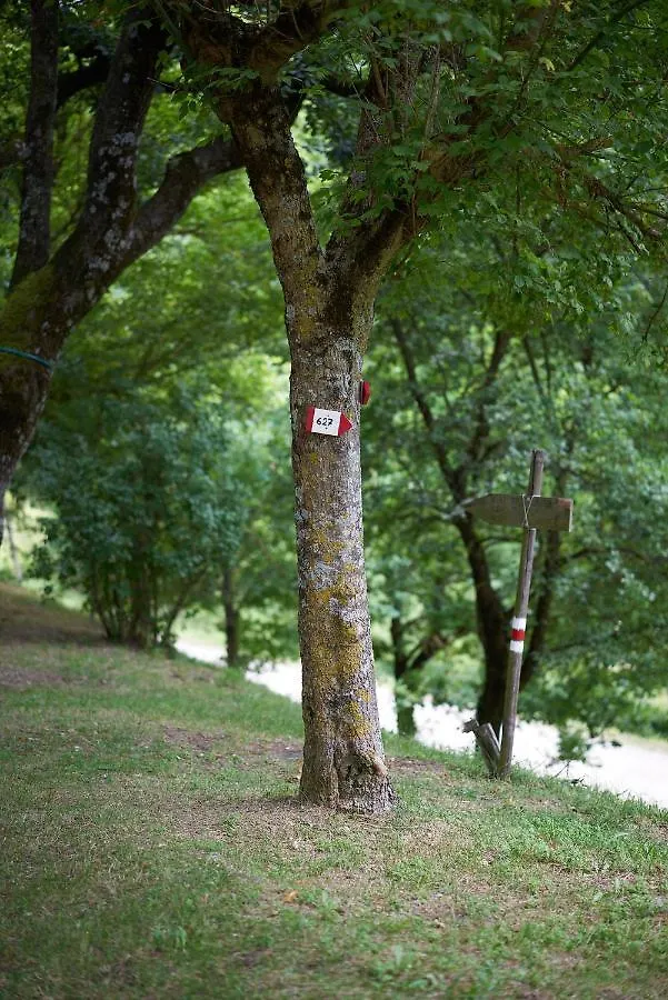 Agriturismo Il Poggiolo Villa Casola Valsenio Farm stay